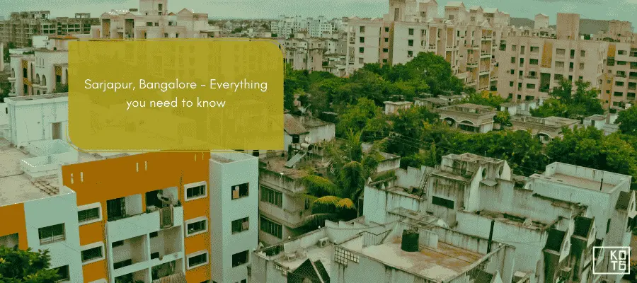 Sarjapur, Bangalore - Everything you need to know
